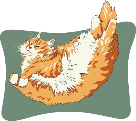 Illustrated fluffy orange cat rolling on a pillow