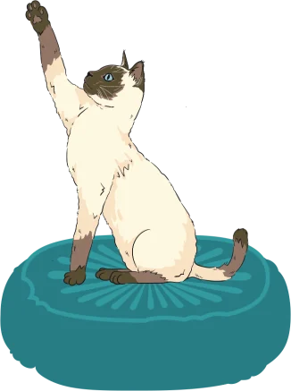 Illustrated Siamese cat reaching up from a teal cushion