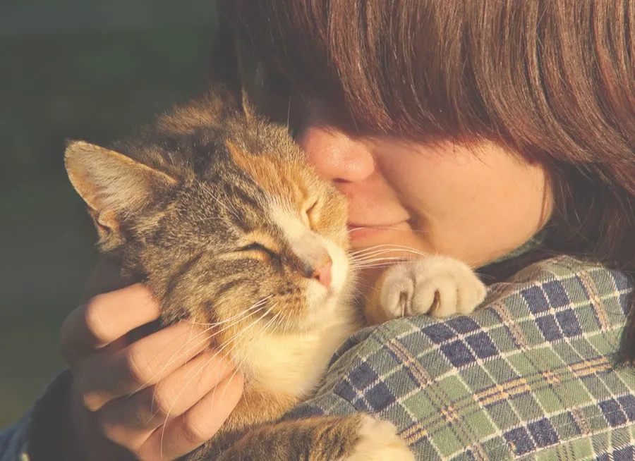 A child cuddling a calico cat