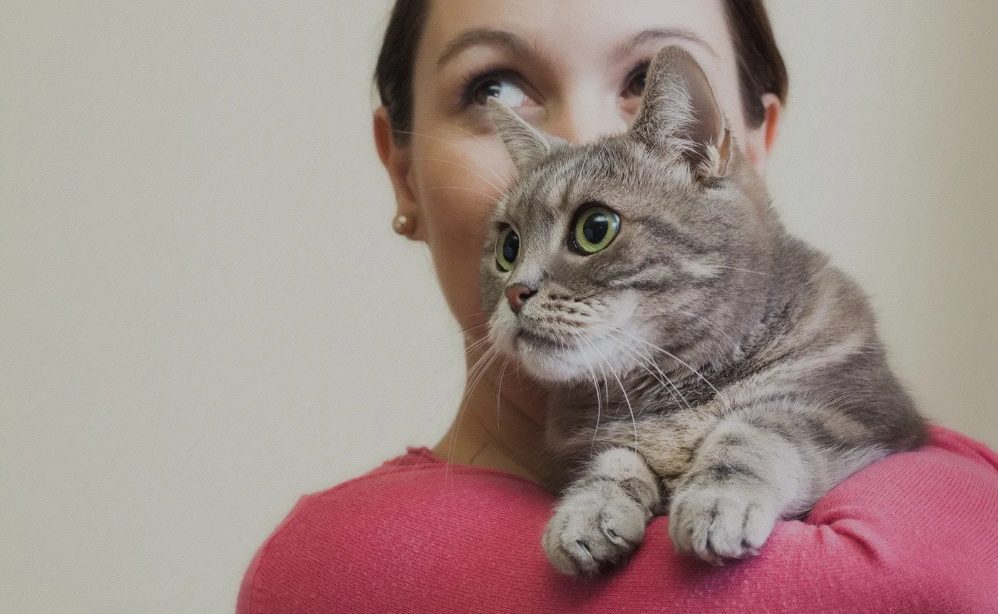 A woman holding a grey tabby cat over her shoulder