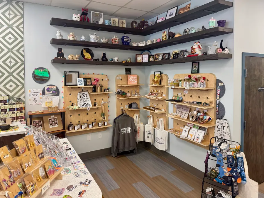 Shelves of cat-themed gifts